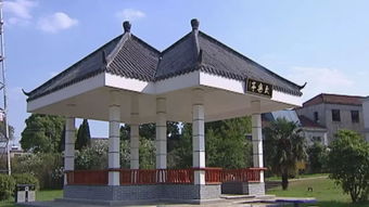 《有巢故里·山水画廊》坝镇纪实专题片本周五登陆瑞轩画廊